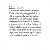 Collana Elecicale Gioielli Donna in Argento ELECICALE-BUC - ELECICALE-BUC